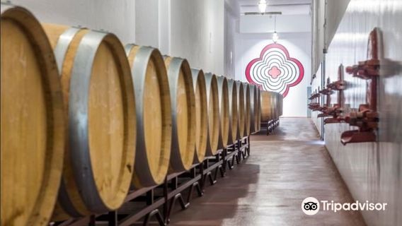 Lusovini - Vinhos de Portugal