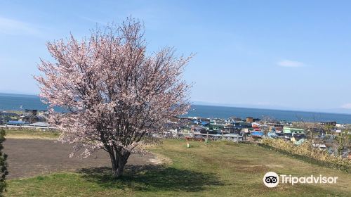 Hamanasu Daiba Park