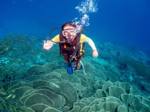 Submariner Diving Center