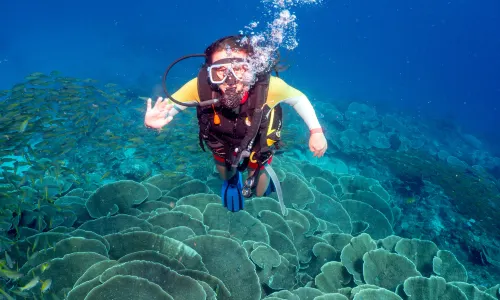 Diving in Philippines