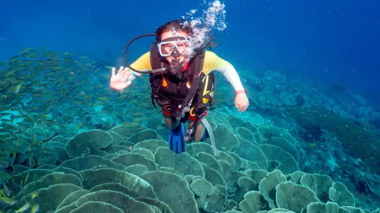 Submariner Diving Center