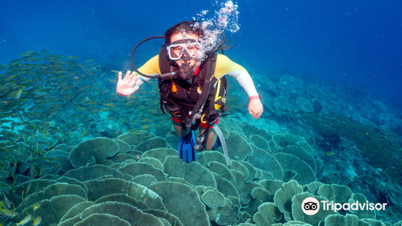 Diving in Philippines