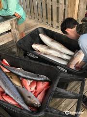 Orange Beach Fishing Charters