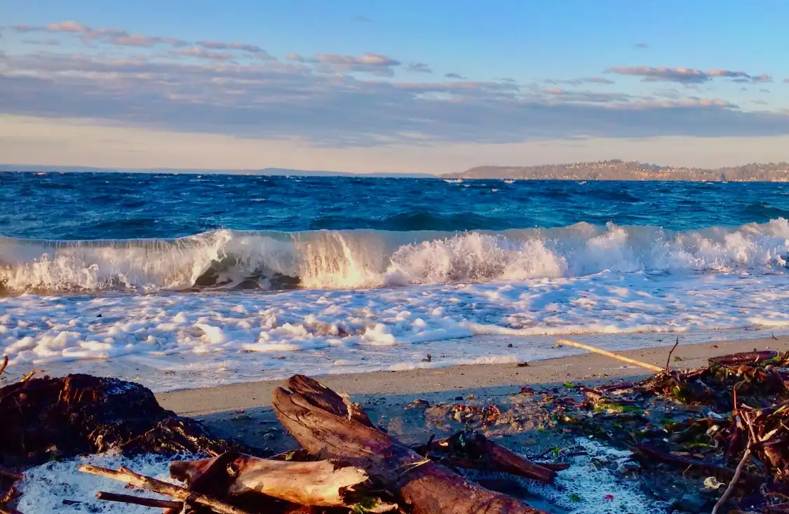 Hotels near Alki Beach Park