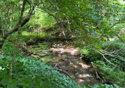 Camden State Park