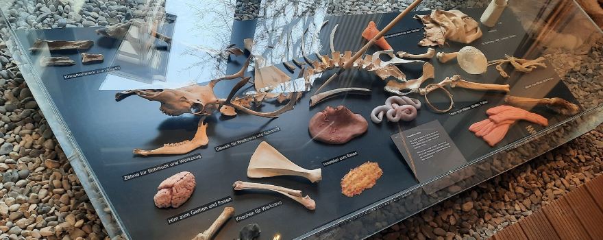 Urgeschichtliches Museum Blaubeuren