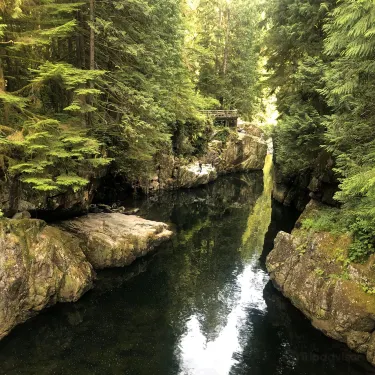 Capilano River Hatchery Hotels in North Vancouver