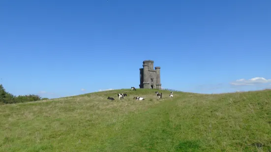 National Trust - Paxton's Tower