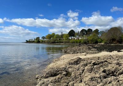 Anse de La Forêt Fouesnant