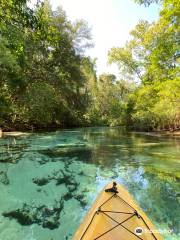 Weeki Wachee The Kayak Shack