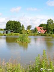 Alvingham Lakes