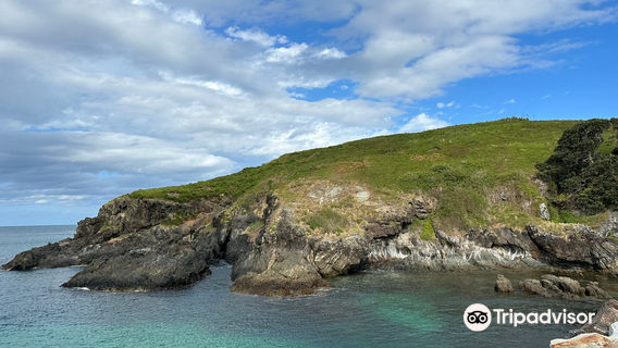 Coffs Harbour Muttonbird Island