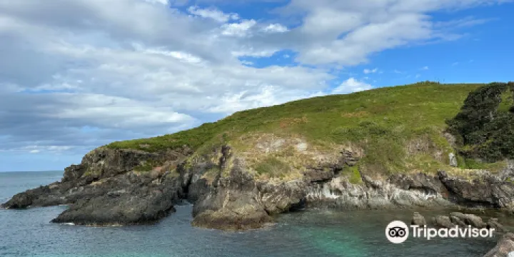 Coffs Harbour Muttonbird Island