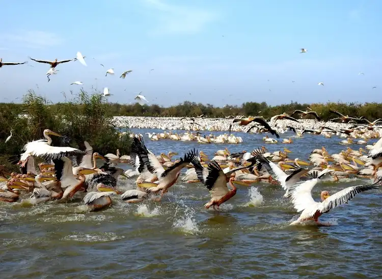Hotels near Modou Caleche Saint Louis