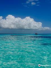 Dive Point Zanzibar