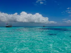 Dive Point Zanzibar