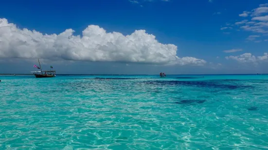 Dive Point Zanzibar