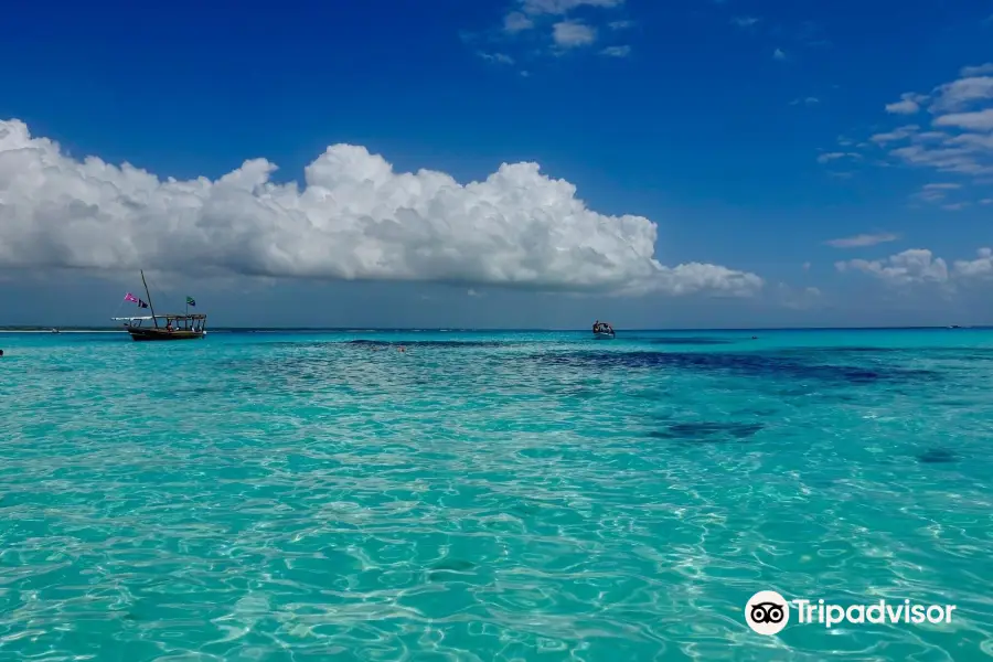 Dive Point Zanzibar