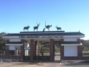 Animal Park - Kissir El Aouana