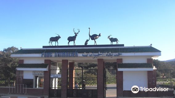 Animal Park - Kissir El Aouana