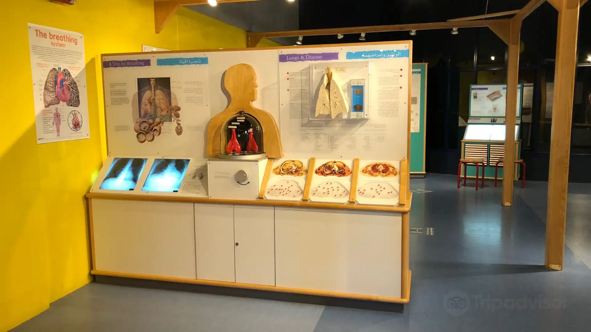 シャルジャ科学博物館周辺のホテル