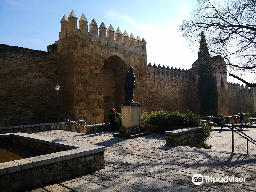 3_Sevilla Mosque Foundation