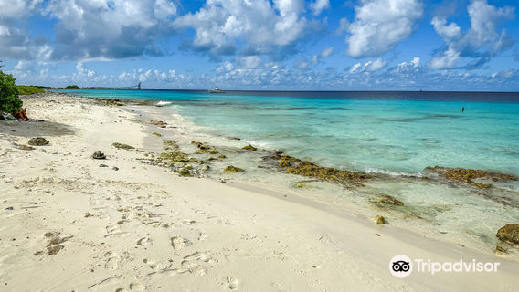 Bonaire Cruisers Golf Carts