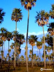 Parque Nacional Rio Pilcomayo