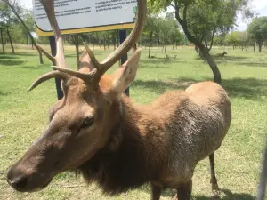 Rodolfo Landeros Park