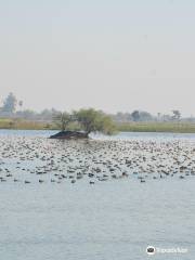 Lakh Bahosi Sanctuary