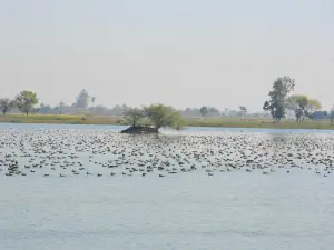 Lakh Bahosi Sanctuary