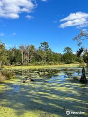 Audubon Swamp Garden