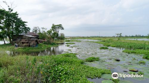 Baikka Beel Wetland Sanctuary