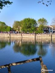 Passeggiata lungo la 'restera'