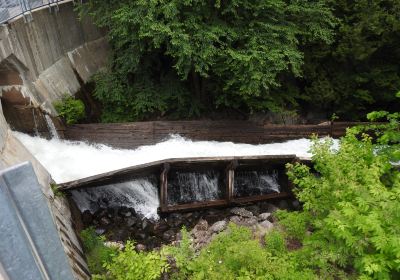 Hawk Lake Log Chute