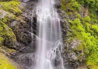 Valdez