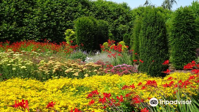 Breezy Knees Gardens