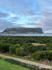 Trethewies Lookout