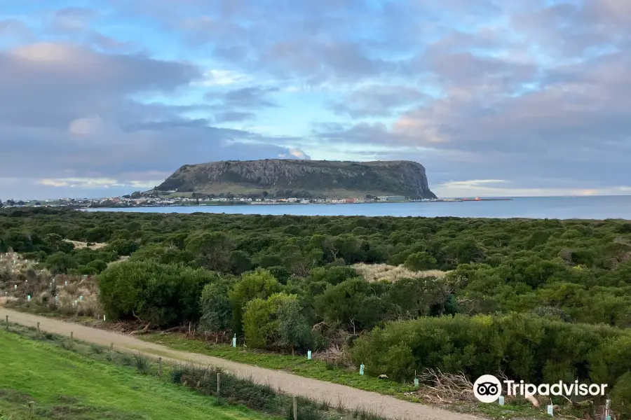 Trethewies Lookout