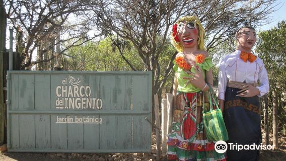 El Charco del Ingenio