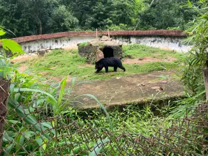 앗삼 스테이트 주 컴 보태니컬 가든