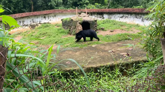 Assam State Zoo cum Botanical Garden