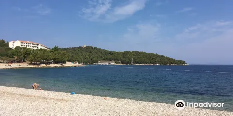 Beach Prirovo Vis