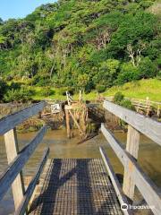 Te Henga Walkway