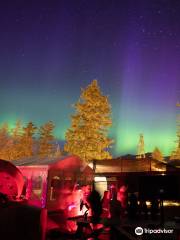 The Jasper Planetarium & dark sky telescope tours