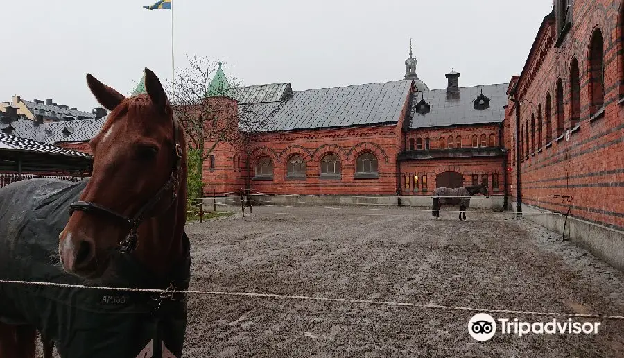 The Royal Mews