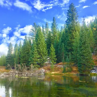 Island Park