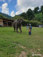 Pong Yang Elephant Camp