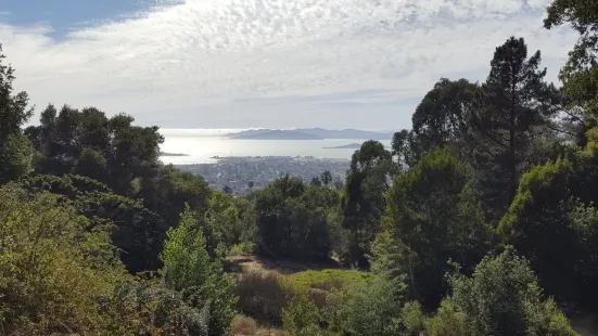 Blake Garden UC Berkeley