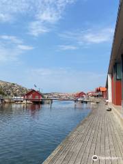 Nordic Watercolor Museum